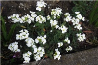 9cc30e49-Picture 014.jpg